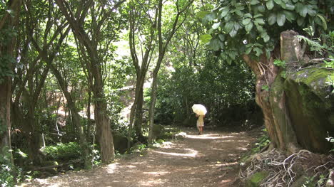 Hawaii-Kauai-Man-with-umbrella-on-a-path