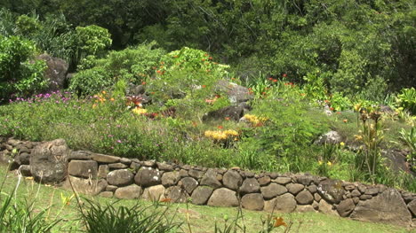 Kauai-Pfannen-Steinterrasse-Mit-Pflanzen