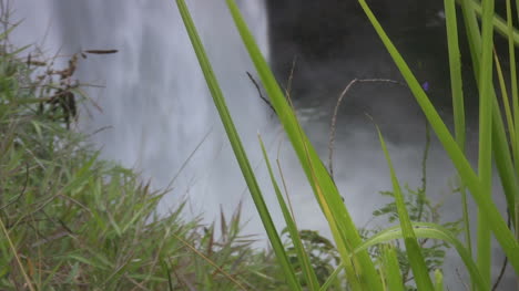 Kauai-Stürzendes-Wasser-Durch-Gras-Gesehen-2