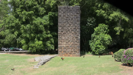 Kauai-Zuckermühlenruine-Mit-Wilden-Hühnern