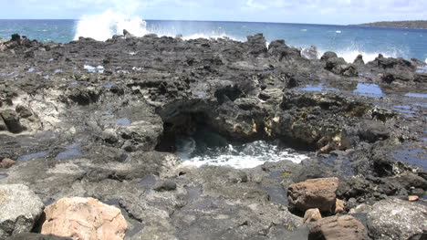 Piscina-De-Marea-De-Kauai-En-Lava-Con-Pájaros