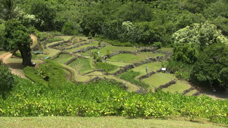 Kauai-Tourists-climb-ancient-stone-terraces