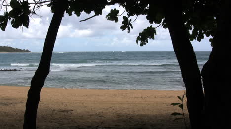 Kauai-Wellen-Strand-Und-Bäume