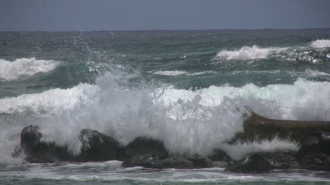 Kauai-Wellen-Auf-Baumstämmen-Und-Felsen