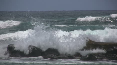 Olas-Kauai-En-Troncos-Y-Rocas