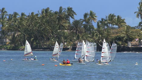 Kayakers-and-windsurfers-in-Hawaii