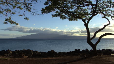 Un-árbol-En-Maui-Enmarca-Una-Vista-De-Lanai