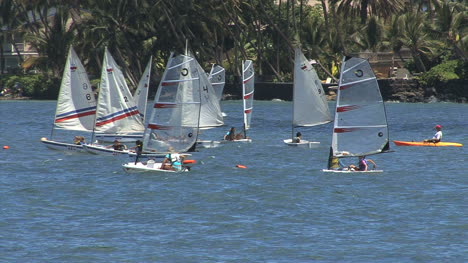 Maui-Lahaina-windsurfers-sailing-2