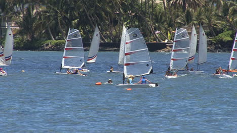 Maui-Lahaina-windsurfers-zoom-in