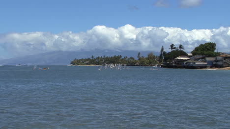 Maui-Lahaina-Windsurfistas-Se-Aleja