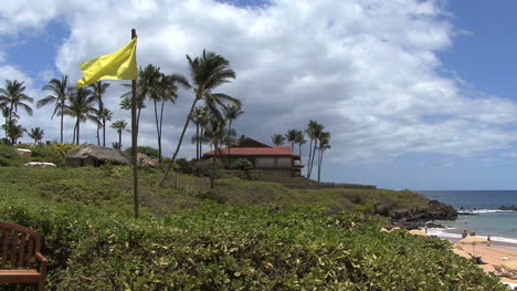 Maui-Lahaina-Gelbe-Flagge-Südmaui-2