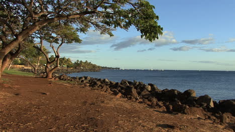 Maui-Se-Acerca-Al-Paseo-Marítimo