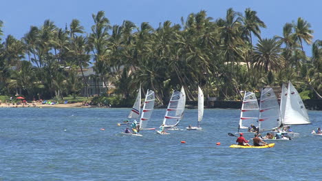 Maui-Lahaina-Zoomt-Auf-Windsurfer