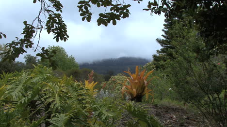 Maui-Neblige-Szene-über-Bergen
