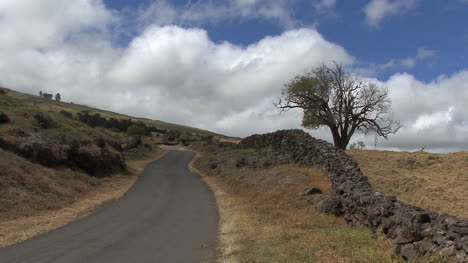 Maui-Road-and-stone-wall