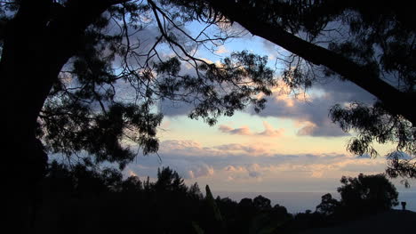 Early-morning-view-with-branches