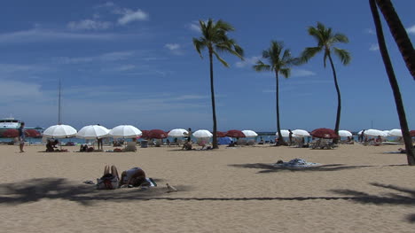 Waikiki-Sonnenschirme-2