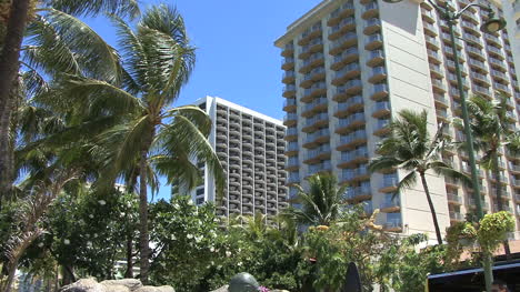 Waikiki-Hotels-Und-Palmen