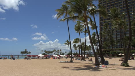 Waikiki-Hotels-Strand-Und-Palmen