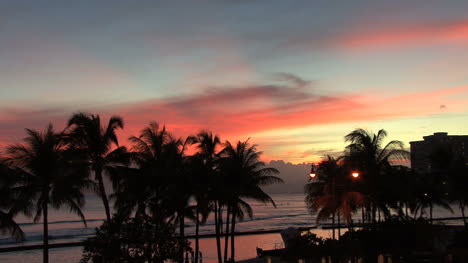 Waikiki-pink-sky-and-palms