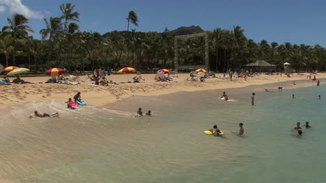 Playa-De-Arena-De-Waikiki-Con-Palmeras