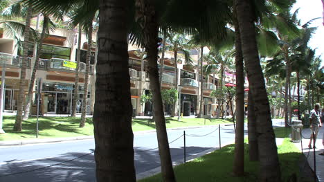 Waikiki-Bürgersteig-Und-Palmen