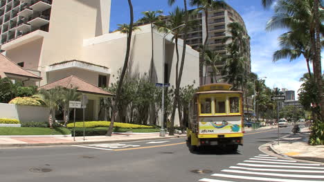 Waikiki-Gelber-Trolley
