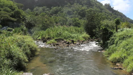 Un-Arroyo-Que-Fluye-En-Dominica