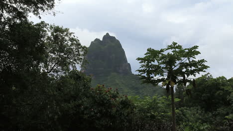 Moorea-Ein-Zerklüfteter-Berggipfel