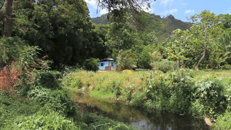 Moorea-house-by-a-stream