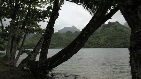 Moorea-Opunohu-Bay