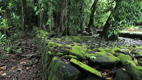 Marae-wall-with-mossy-stones