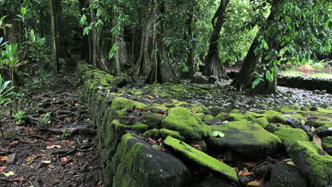 Pared-De-Marae-Con-Piedras-Cubiertas-De-Musgo