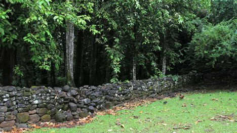 Chickens-by-a-Marae-wall-in-Moorea