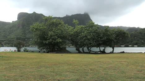 Moorea-Cook's-Bay-with-trees