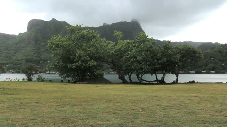 Moorea-Cook&#39;s-Bay-Mit-Bäumen