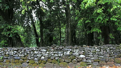 Moorea-Titiroa-Marae-Wand-Und-Bäume