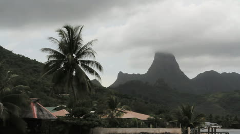 Moorea-mountains-with-palm
