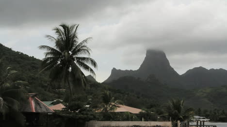 Moorea-Berge-Mit-Palmen