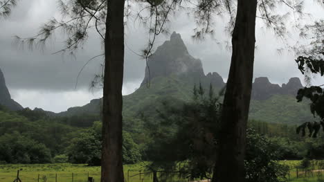 Montaña-Moorea-Enmarcada-Por-árboles