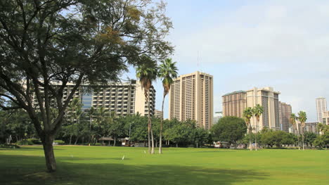 Parque-De-Honolulu-Y-Edificios-De-Gran-Altura