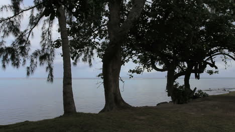 Parque-Tahití-Junto-Al-Mar-Con-árboles