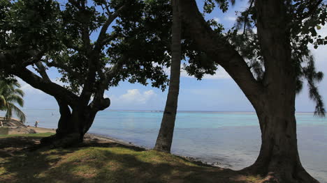 Tahiti-park-by-sea-lagoon-and-trees