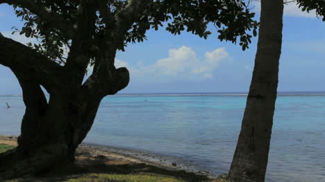 Tahiti-park-by-sea-blue-lagoon
