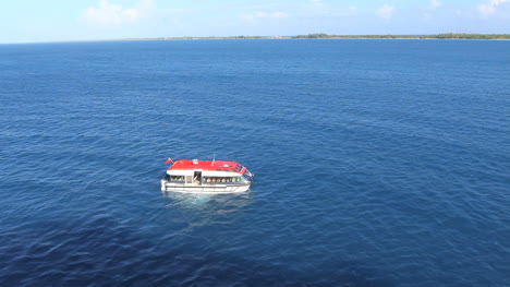 Tierna-Esperando-En-La-Laguna-Rangiroa