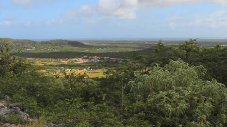 Bonaire-Blick-Vom-Hügel