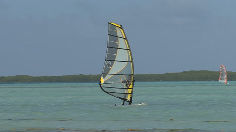 Bonaire-Windsurfer