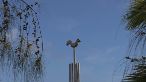 Huahine-zooms-to-sacred-bird