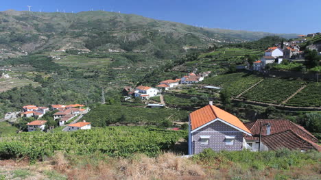 Douro-Haus,-Dorf-Und-Weinberge