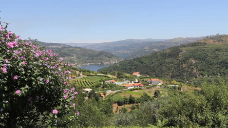 Douro-Fluss-Vista-In-Portugal-Port